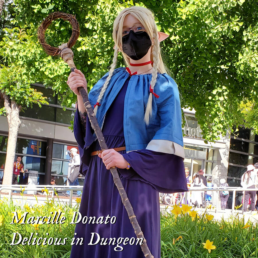 Marcille Marcille